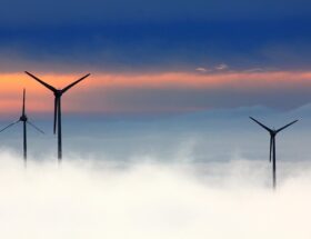 Vindskedekapsler og deres indvirkning på vindmøllers levetid
