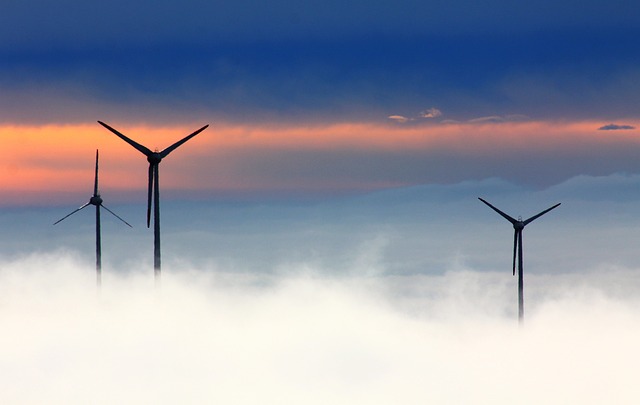 Vindskedekapsler og deres indvirkning på vindmøllers levetid