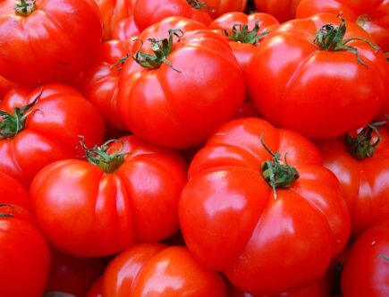 Citronsyre og Folsyre: Gode kilder til vitamin B og antioxidanter