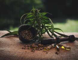 Lovlig og økologisk: Sådan har formula swiss’ cbd olie erobreret danmark